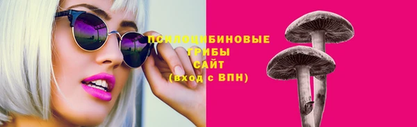 дмт Арсеньев