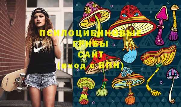 амф Аркадак