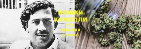 амф Аркадак