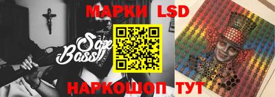 крисы Камышлов