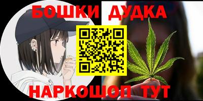 крисы Камышлов