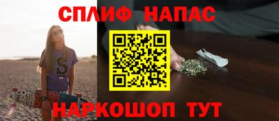 крисы Камышлов