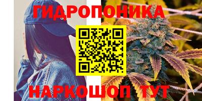 твердый Канаш