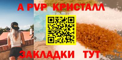 крисы Камышлов