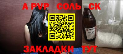 крисы Камышлов