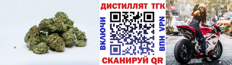 ТГК концентрат цены Лениногорск