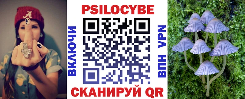 Галлюциногенные грибы Psilocybine cubensis  Лениногорск 